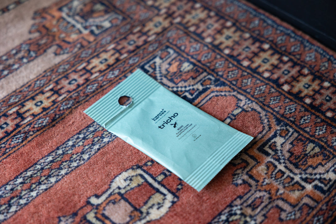 Image 59405805912397