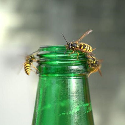 Image 43970214494541
