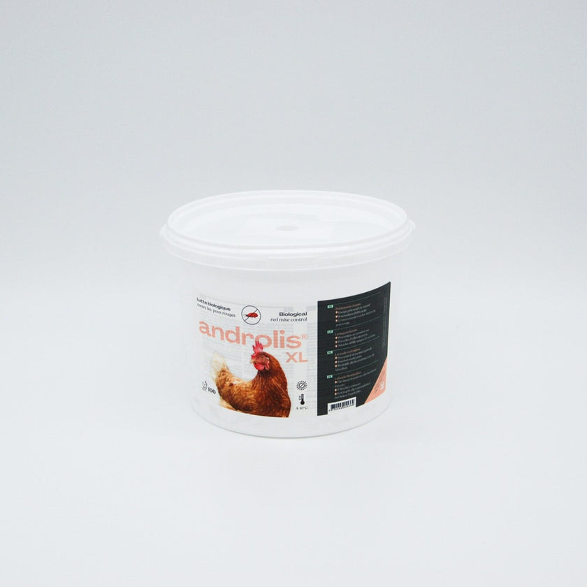 Androlis XL - Anti poux rouges