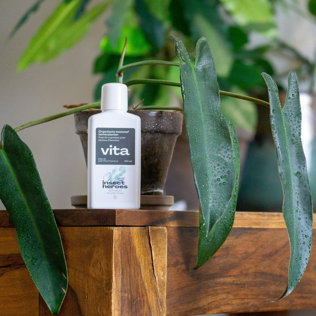 Vita - Engrais organique pour plantes d'intérieur