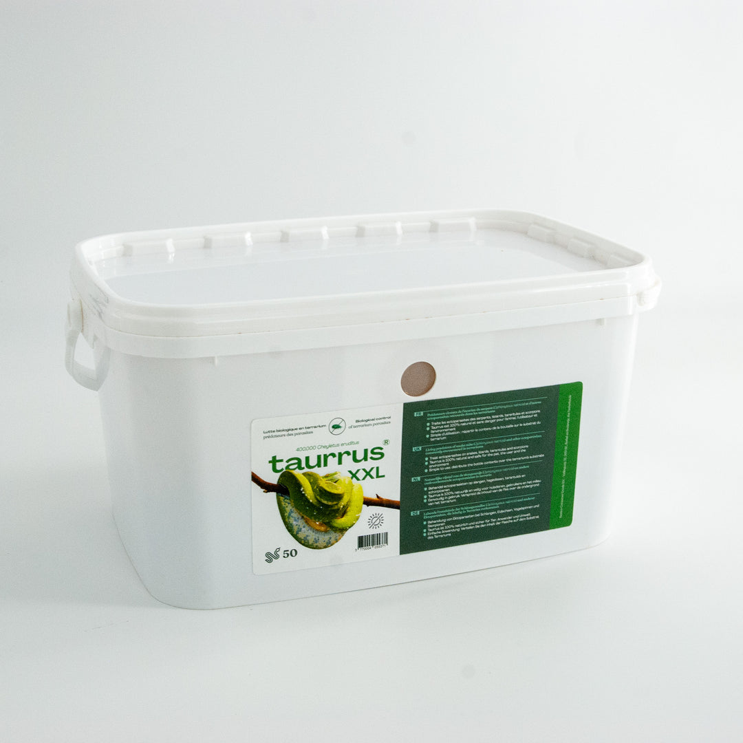 Taurrus - Anti parasites des terrariums